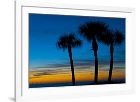 USA, Florida, Sarasota, Crescent Beach, Siesta Key. sunset and palm trees-Bernard Friel-Framed Premium Photographic Print