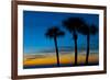 USA, Florida, Sarasota, Crescent Beach, Siesta Key. sunset and palm trees-Bernard Friel-Framed Premium Photographic Print