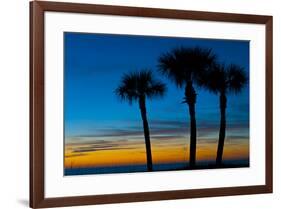 USA, Florida, Sarasota, Crescent Beach, Siesta Key. sunset and palm trees-Bernard Friel-Framed Premium Photographic Print