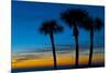 USA, Florida, Sarasota, Crescent Beach, Siesta Key. sunset and palm trees-Bernard Friel-Mounted Premium Photographic Print