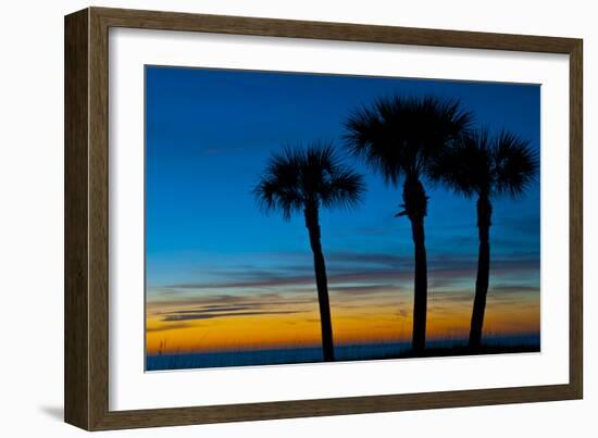 USA, Florida, Sarasota, Crescent Beach, Siesta Key. sunset and palm trees-Bernard Friel-Framed Photographic Print