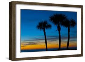 USA, Florida, Sarasota, Crescent Beach, Siesta Key. sunset and palm trees-Bernard Friel-Framed Photographic Print