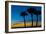 USA, Florida, Sarasota, Crescent Beach, Siesta Key. sunset and palm trees-Bernard Friel-Framed Photographic Print