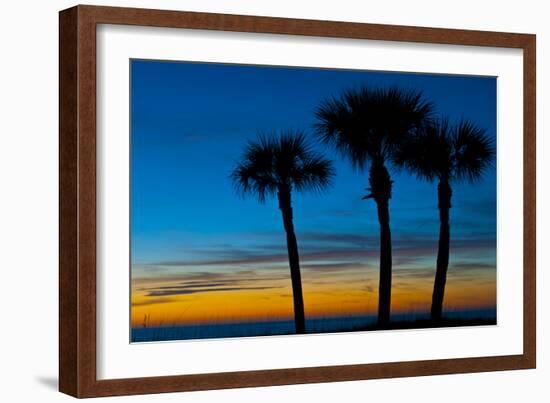 USA, Florida, Sarasota, Crescent Beach, Siesta Key. sunset and palm trees-Bernard Friel-Framed Photographic Print