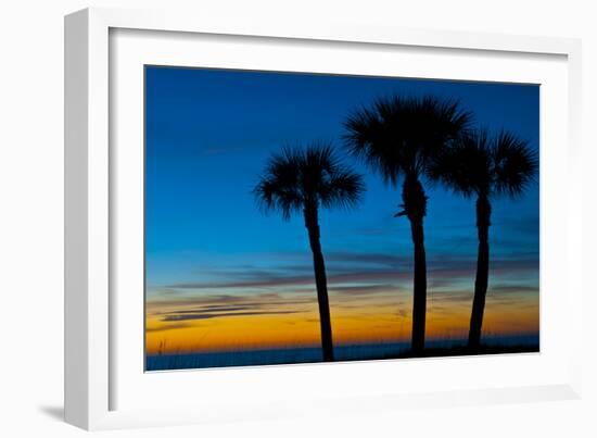 USA, Florida, Sarasota, Crescent Beach, Siesta Key. sunset and palm trees-Bernard Friel-Framed Photographic Print