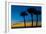 USA, Florida, Sarasota, Crescent Beach, Siesta Key. sunset and palm trees-Bernard Friel-Framed Photographic Print