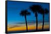 USA, Florida, Sarasota, Crescent Beach, Siesta Key. sunset and palm trees-Bernard Friel-Framed Stretched Canvas