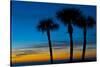 USA, Florida, Sarasota, Crescent Beach, Siesta Key. sunset and palm trees-Bernard Friel-Stretched Canvas