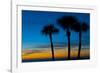 USA, Florida, Sarasota, Crescent Beach, Siesta Key. sunset and palm trees-Bernard Friel-Framed Photographic Print