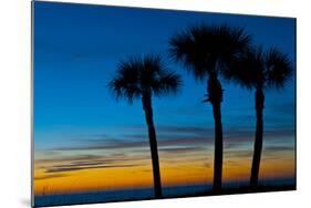 USA, Florida, Sarasota, Crescent Beach, Siesta Key. sunset and palm trees-Bernard Friel-Mounted Photographic Print