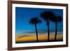 USA, Florida, Sarasota, Crescent Beach, Siesta Key. sunset and palm trees-Bernard Friel-Framed Photographic Print