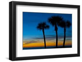 USA, Florida, Sarasota, Crescent Beach, Siesta Key. sunset and palm trees-Bernard Friel-Framed Photographic Print