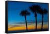 USA, Florida, Sarasota, Crescent Beach, Siesta Key. sunset and palm trees-Bernard Friel-Framed Stretched Canvas