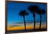 USA, Florida, Sarasota, Crescent Beach, Siesta Key. sunset and palm trees-Bernard Friel-Framed Photographic Print