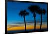 USA, Florida, Sarasota, Crescent Beach, Siesta Key. sunset and palm trees-Bernard Friel-Framed Photographic Print