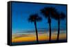USA, Florida, Sarasota, Crescent Beach, Siesta Key. sunset and palm trees-Bernard Friel-Framed Stretched Canvas