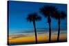 USA, Florida, Sarasota, Crescent Beach, Siesta Key. sunset and palm trees-Bernard Friel-Stretched Canvas