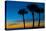 USA, Florida, Sarasota, Crescent Beach, Siesta Key. sunset and palm trees-Bernard Friel-Stretched Canvas