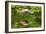 USA, Florida, Sarasota, Myakka River State Park, Feeding Roseate Spoonbill-Bernard Friel-Framed Photographic Print