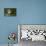 USA, Florida, Sarasota, Myakka River State Park, Roseate Spoonbill Wings Raised-Bernard Friel-Stretched Canvas displayed on a wall
