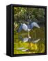 USA, Florida, Sarasota, Myakka River State Park, Tricolored Heron-Bernard Friel-Framed Stretched Canvas