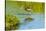 USA, Florida, Sarasota, Myakka River State Park, Wading Bird, Feeding, Glossy Ibis-Bernard Friel-Stretched Canvas