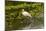 USA, Florida, Sarasota, Myakka River State Park, White Ibis-Bernard Friel-Mounted Photographic Print