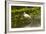 USA, Florida, Sarasota, Myakka River State Park, White Ibis-Bernard Friel-Framed Photographic Print