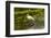 USA, Florida, Sarasota, Myakka River State Park, White Ibis-Bernard Friel-Framed Photographic Print