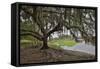 USA, Florida, Sarasota, Myakka River State Park-Hollice Looney-Framed Stretched Canvas