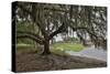 USA, Florida, Sarasota, Myakka River State Park-Hollice Looney-Stretched Canvas