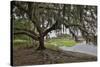 USA, Florida, Sarasota, Myakka River State Park-Hollice Looney-Stretched Canvas