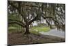 USA, Florida, Sarasota, Myakka River State Park-Hollice Looney-Mounted Photographic Print