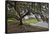 USA, Florida, Sarasota, Myakka River State Park-Hollice Looney-Framed Stretched Canvas