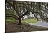 USA, Florida, Sarasota, Myakka River State Park-Hollice Looney-Stretched Canvas