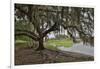 USA, Florida, Sarasota, Myakka River State Park-Hollice Looney-Framed Photographic Print