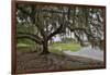 USA, Florida, Sarasota, Myakka River State Park-Hollice Looney-Framed Photographic Print