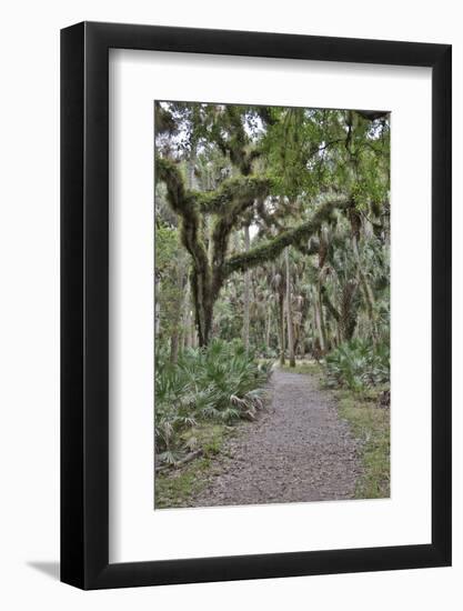 USA, Florida, Sarasota, Myakka River State Park-Hollice Looney-Framed Photographic Print