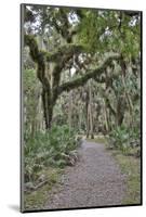 USA, Florida, Sarasota, Myakka River State Park-Hollice Looney-Mounted Photographic Print