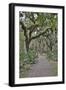 USA, Florida, Sarasota, Myakka River State Park-Hollice Looney-Framed Photographic Print