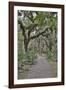 USA, Florida, Sarasota, Myakka River State Park-Hollice Looney-Framed Photographic Print