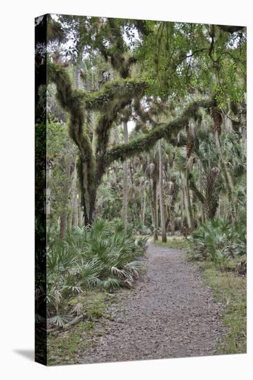 USA, Florida, Sarasota, Myakka River State Park-Hollice Looney-Stretched Canvas