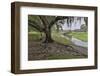 USA, Florida, Sarasota, Myakka River State Park-Hollice Looney-Framed Photographic Print