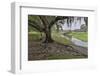 USA, Florida, Sarasota, Myakka River State Park-Hollice Looney-Framed Photographic Print