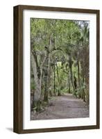 USA, Florida, Sarasota, Myakka River State Park-Hollice Looney-Framed Photographic Print