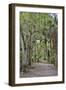 USA, Florida, Sarasota, Myakka River State Park-Hollice Looney-Framed Photographic Print