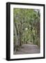 USA, Florida, Sarasota, Myakka River State Park-Hollice Looney-Framed Photographic Print