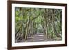 USA, Florida, Sarasota, Myakka River State Park-Hollice Looney-Framed Photographic Print