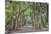 USA, Florida, Sarasota, Myakka River State Park-Hollice Looney-Mounted Photographic Print