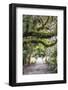 USA, Florida, Sarasota, Myakka River State Park-Hollice Looney-Framed Photographic Print